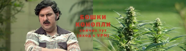 apvp Балахна