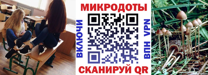 что такое   Сим  Галлюциногенные грибы MAGIC MUSHROOMS 